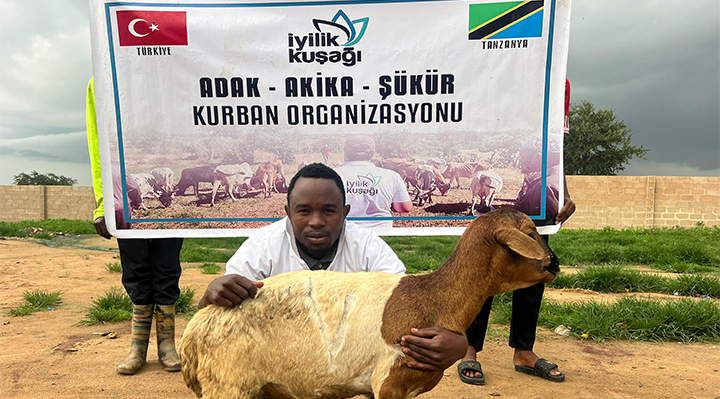 Afrika - Adak - Akika - Şükür - Küçükbaş